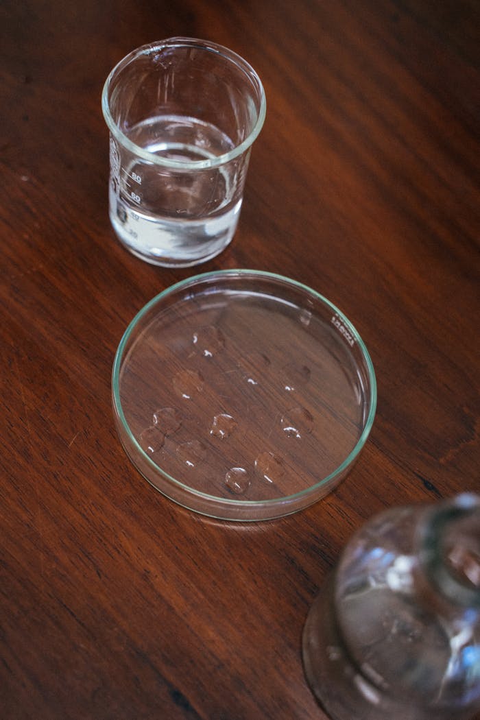 Close-up of laboratory glassware including a beaker and petri dish on wood.